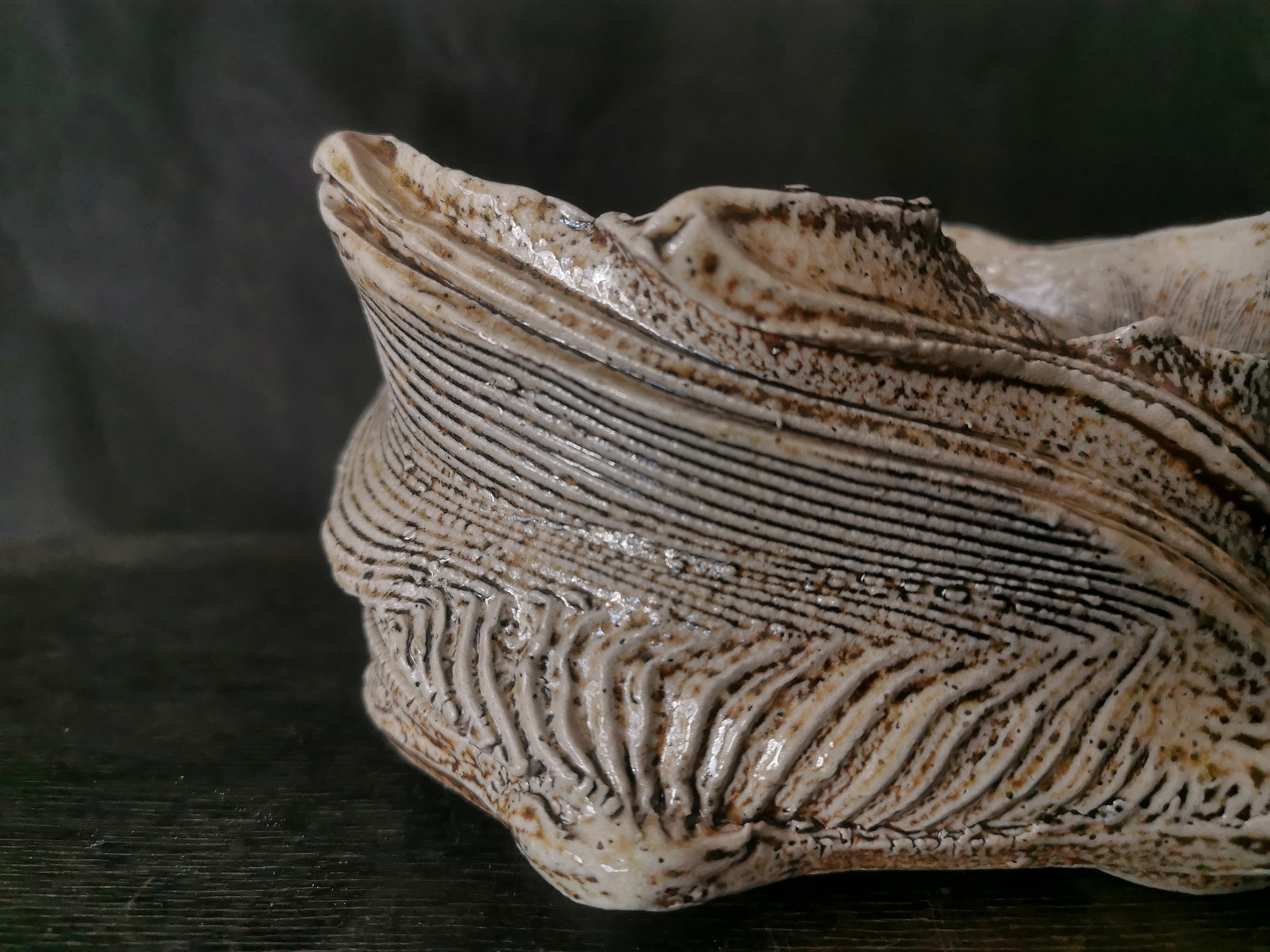 Salt-glazed bonsai pot - view 4